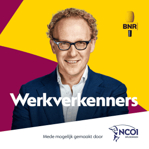 BNR Werkverkenners Banner